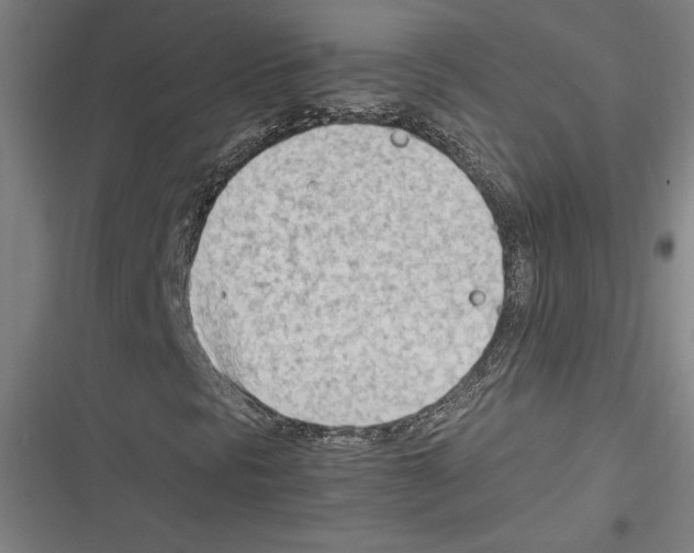 X0000116311297201001111130