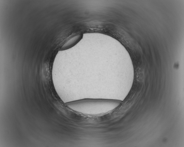 X0000116311298201001111130