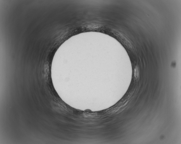 X0000116311299201001111130