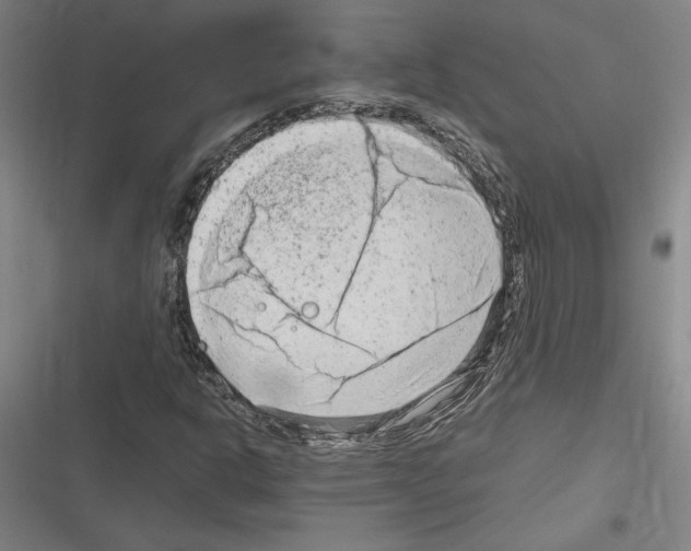 X0000116311302201001111130