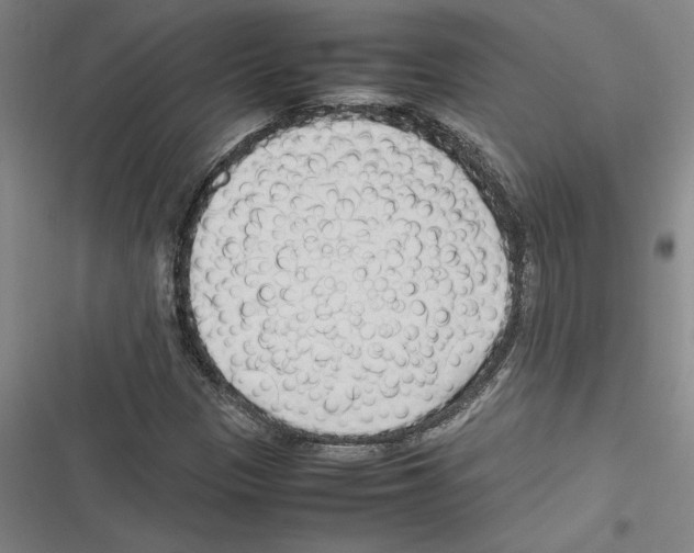 X0000116311305201001111130