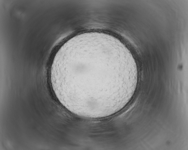 X0000116311309201001111130