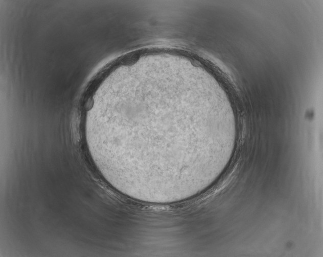 X0000116311310201001111130