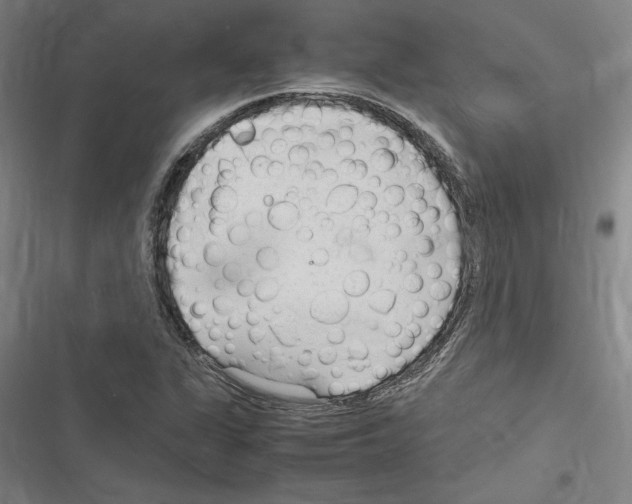 X0000116311311201001111130