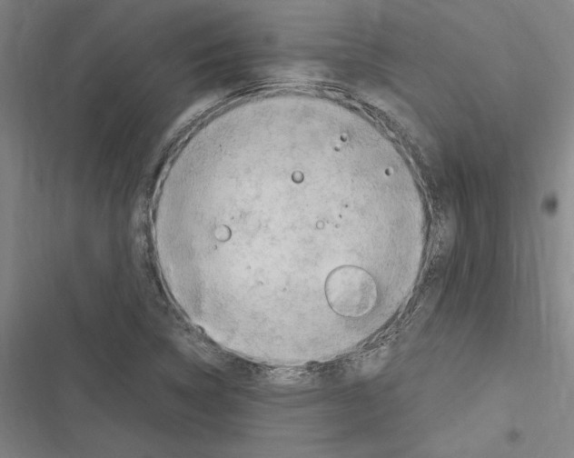 X0000116311314201001111130