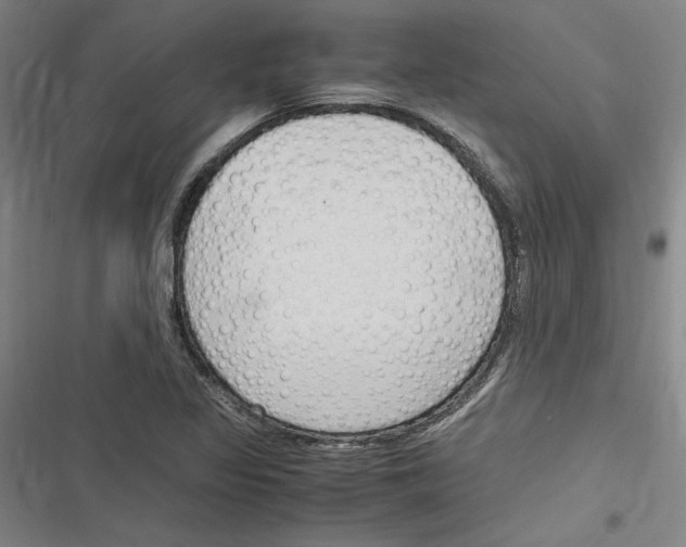 X0000116311317201001111130