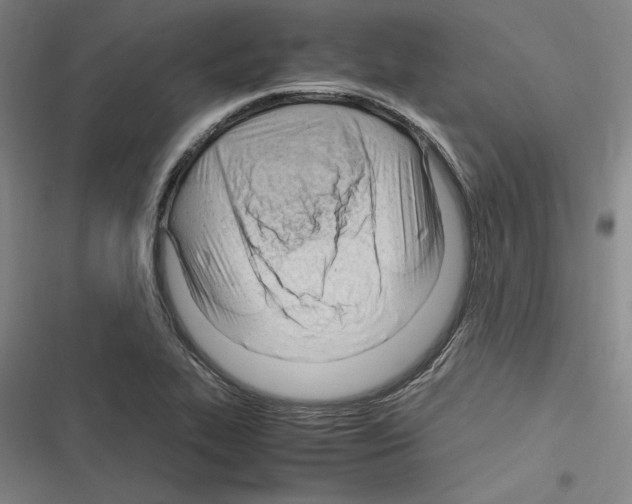 X0000116311319201001111130