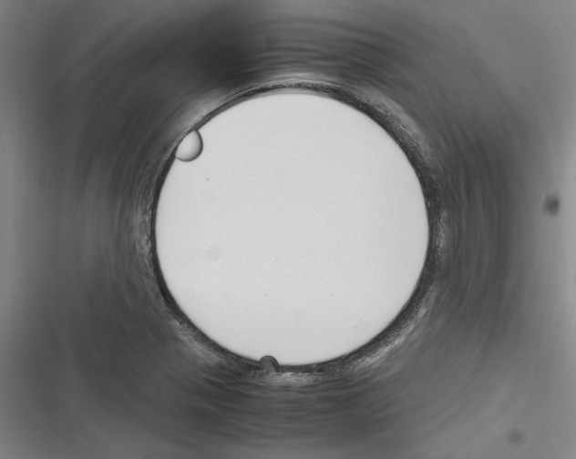 X0000116311321201001111130