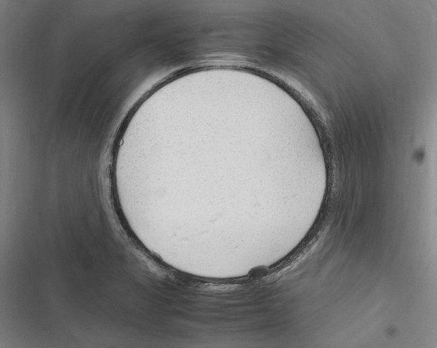 X0000116311325201001111130