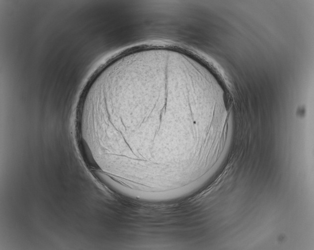 X0000116311327201001111130