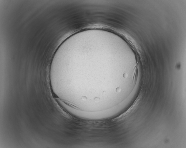 X0000116311329201001111130