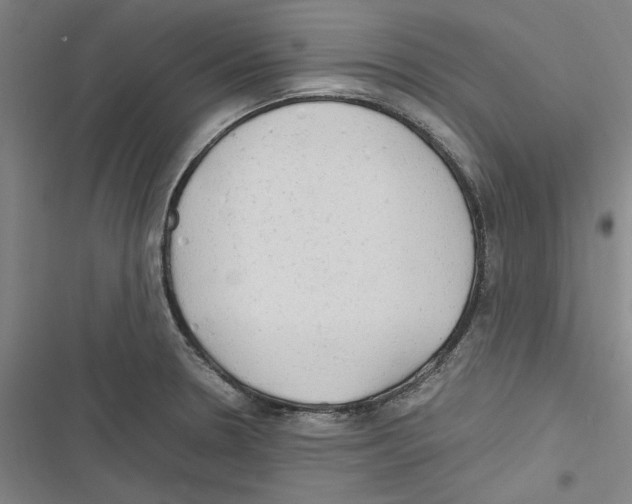 X0000116311330201001111130