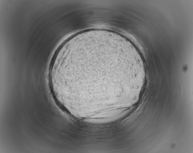 X0000116311331201001111130