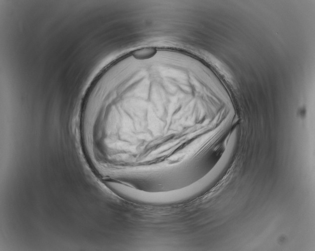 X0000116311334201001111130