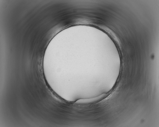 X0000116311337201001111130