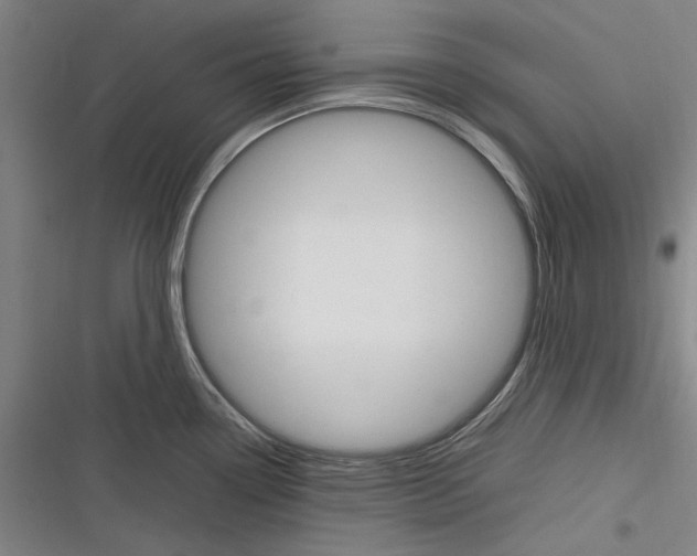 X0000116311338201001111130