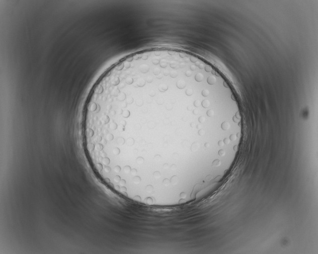 X0000116311339201001111130