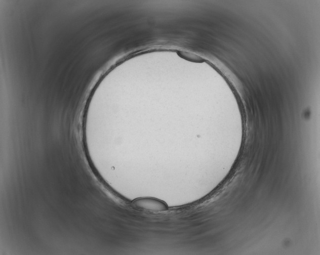 X0000116311341201001111130