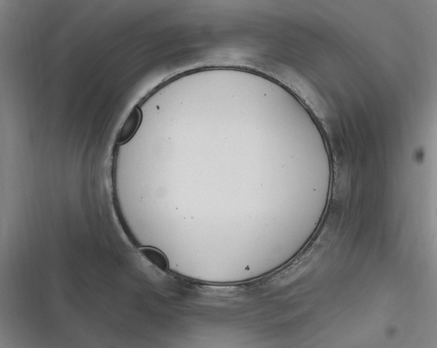 X0000116311342201001111130