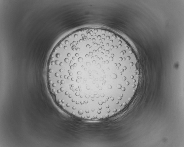 X0000116311343201001111130