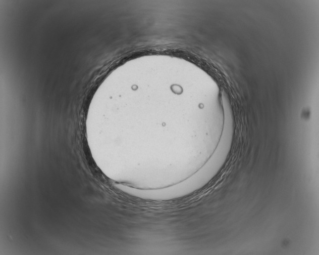 X0000116311349201001111130