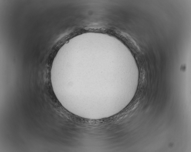 X0000116311350201001111130