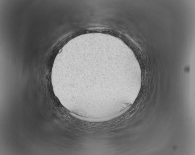 X0000116311351201001111130