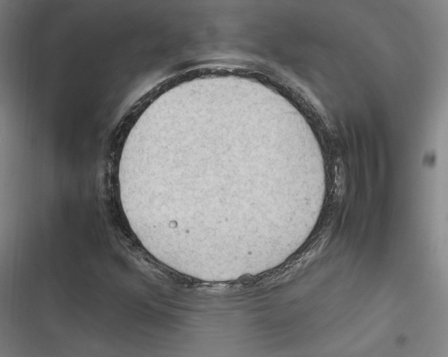 X0000116311352201001111130