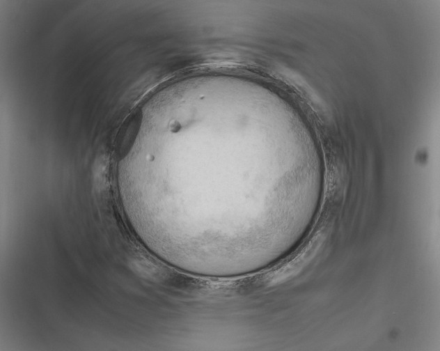 X0000116311353201001111130