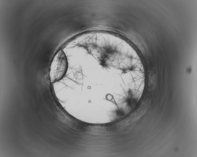 X0000116311356201001111129