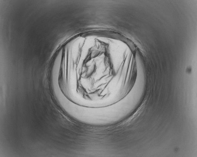 X0000116311357201001111129