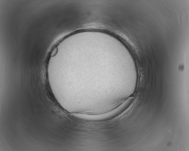 X0000116311358201001111129