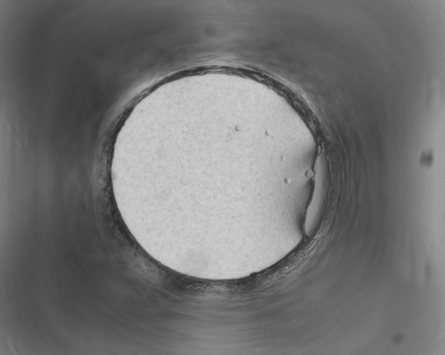 X0000116311359201001111129