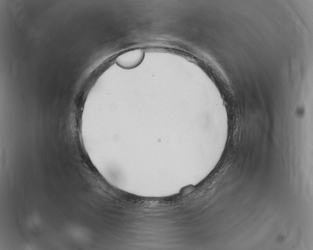 X0000116311360201001111129