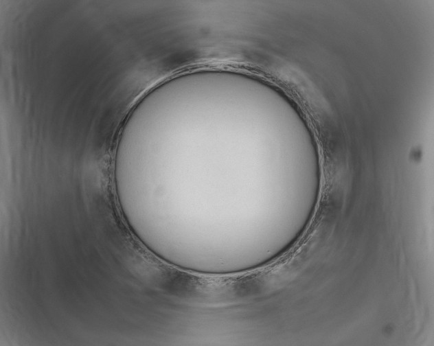 X0000116311361201001111129