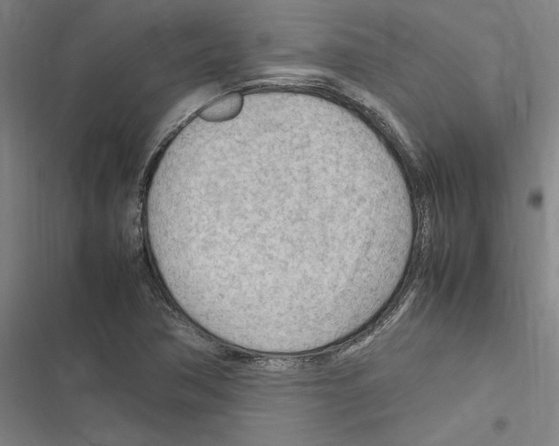 X0000116311362201001111129