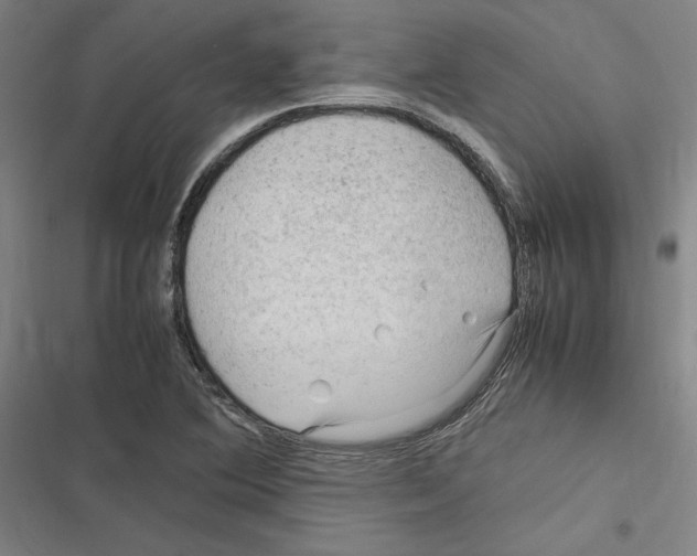 X0000116311364201001111129