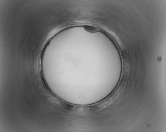 X0000116311365201001111129