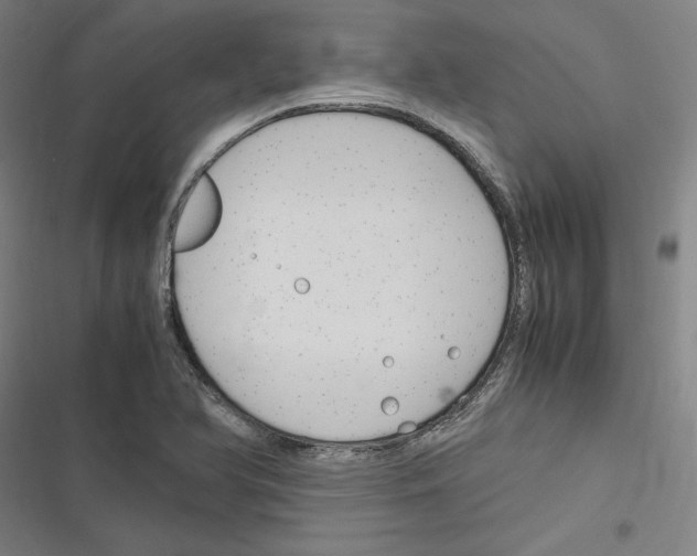 X0000116311366201001111129