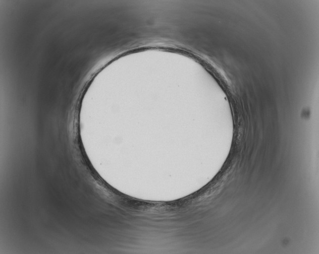 X0000116311367201001111129