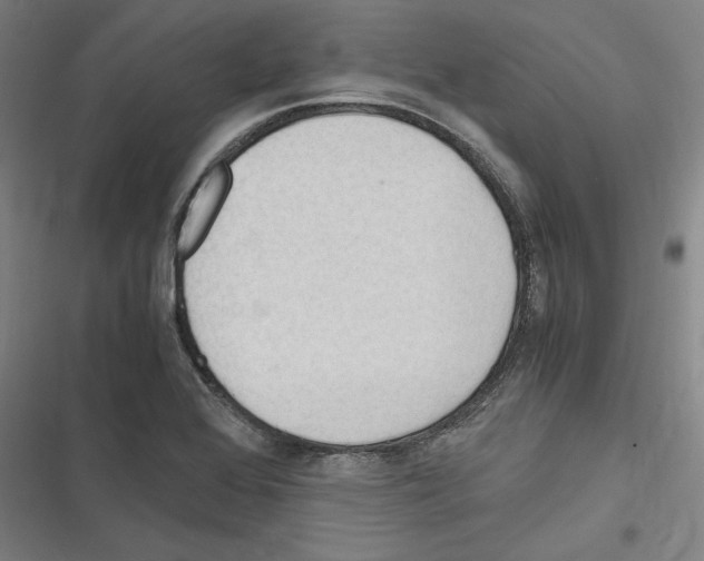 X0000116311368201001111129