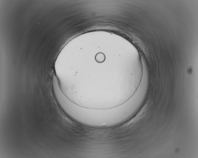 X0000116311369201001111129