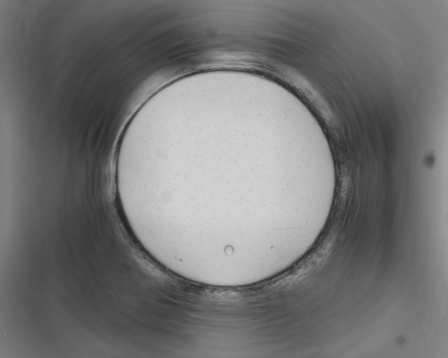 X0000116311370201001111129