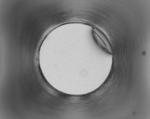 X0000116311371201001111129