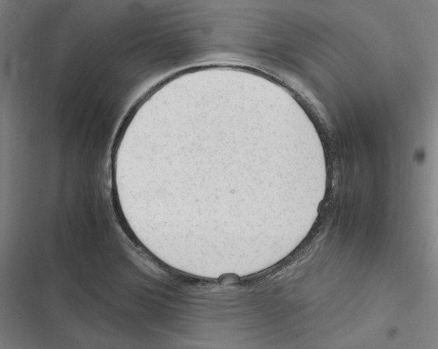 X0000116311372201001111129