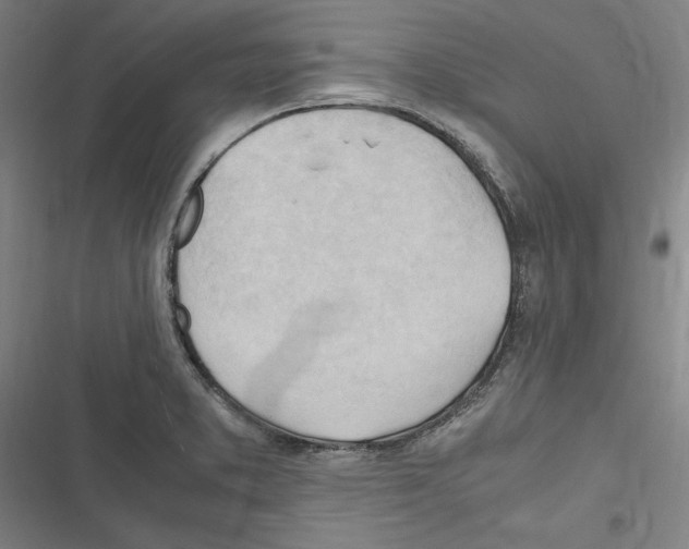 X0000116311373201001111129