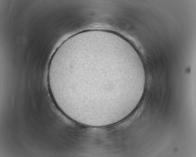 X0000116311374201001111129