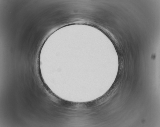 X0000116311375201001111129