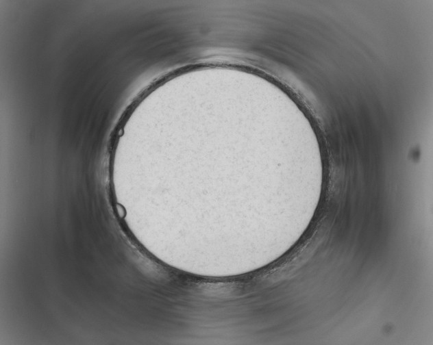 X0000116311376201001111129