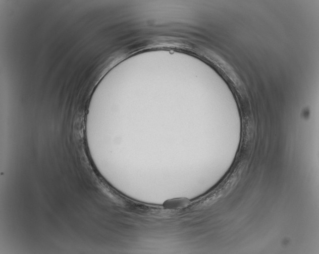 X0000116311377201001111129